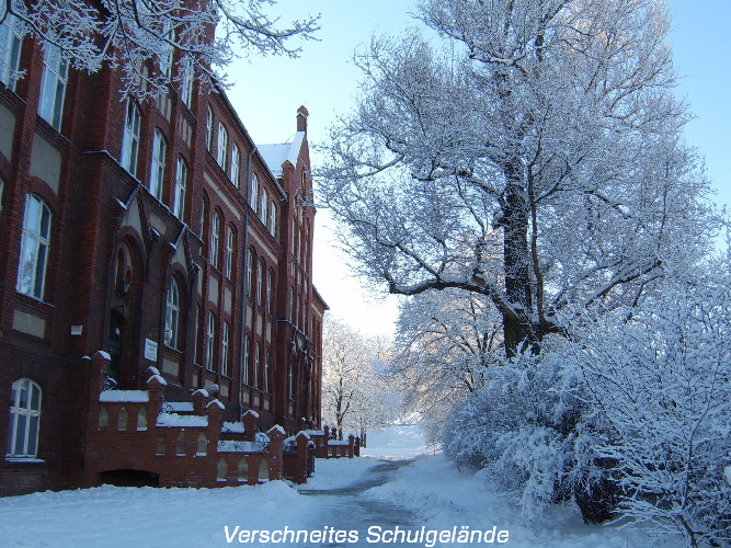(c) Copyright Friedensgrundschule Frankfurt (Oder)  2012