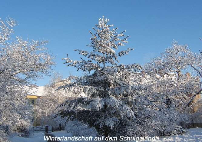(c) Copyright Friedensgrundschule Frankfurt (Oder)  2012