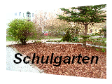 schulgarten