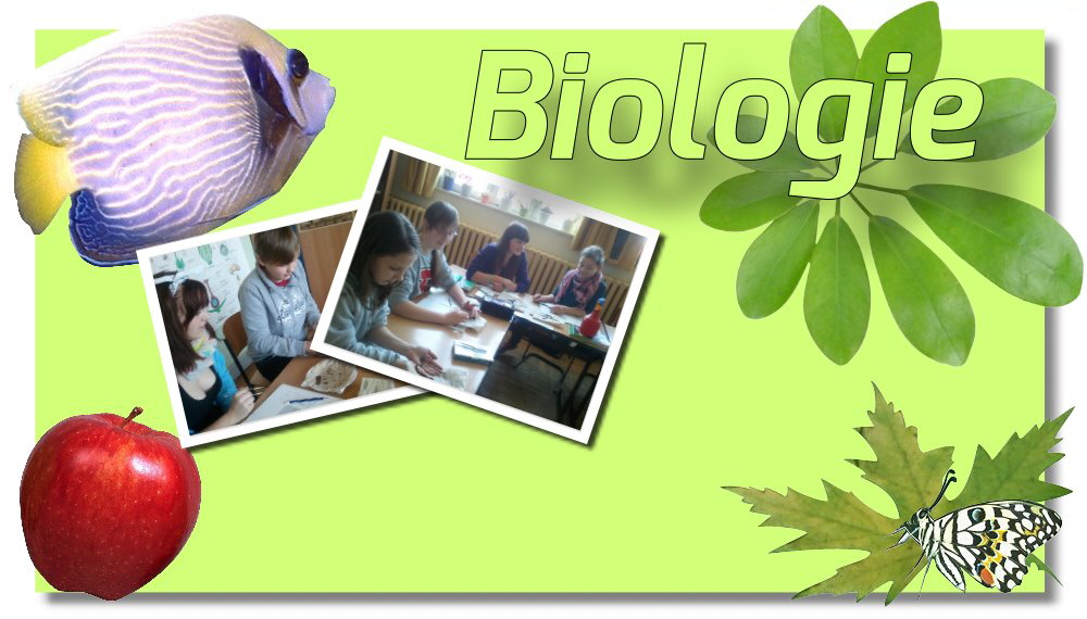 BackInhalt Bio